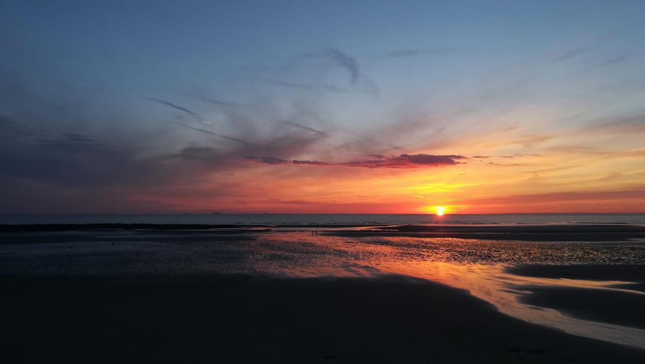Appartement L'Estivaliere Face A La Mer Wimereux Dış mekan fotoğraf